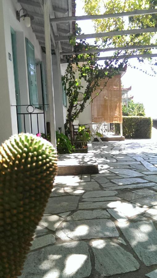 Sofia Holiday Studios Sztáfilosz Kültér fotó