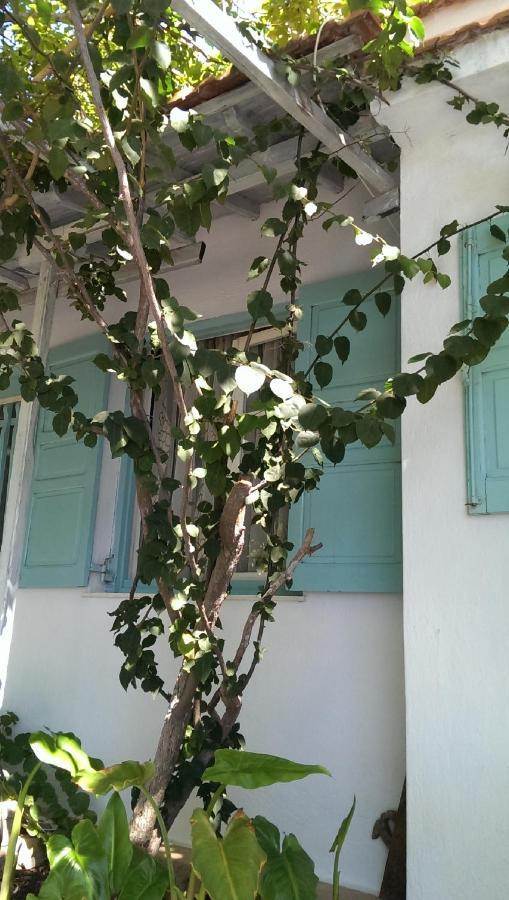 Sofia Holiday Studios Sztáfilosz Kültér fotó