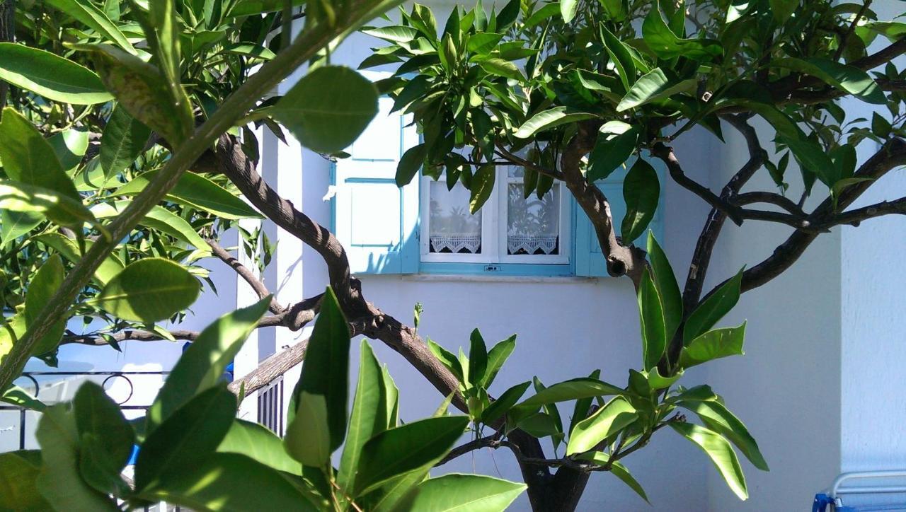 Sofia Holiday Studios Sztáfilosz Kültér fotó